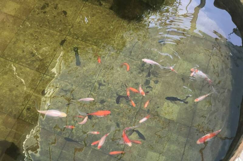 Частный сектор на Школьной 20