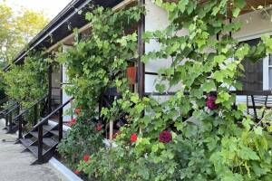 Изображение Гостевой дом на Коммунистической 42 #5