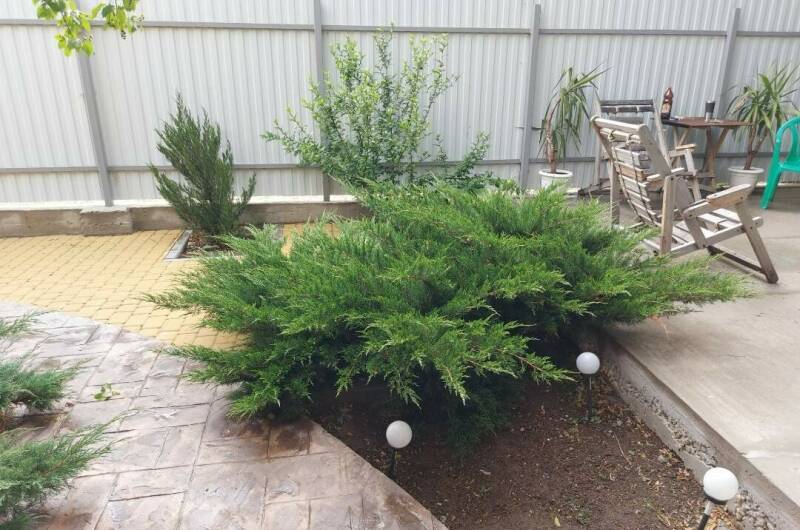 Гостевой дом «Центральный»