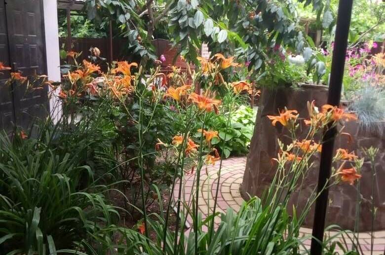 Гостевой дом «Алина»