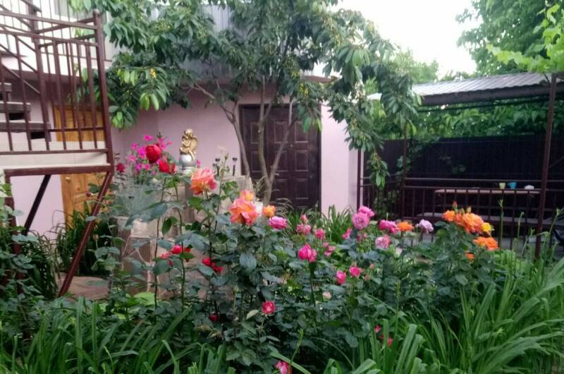 Гостевой дом «Алина»