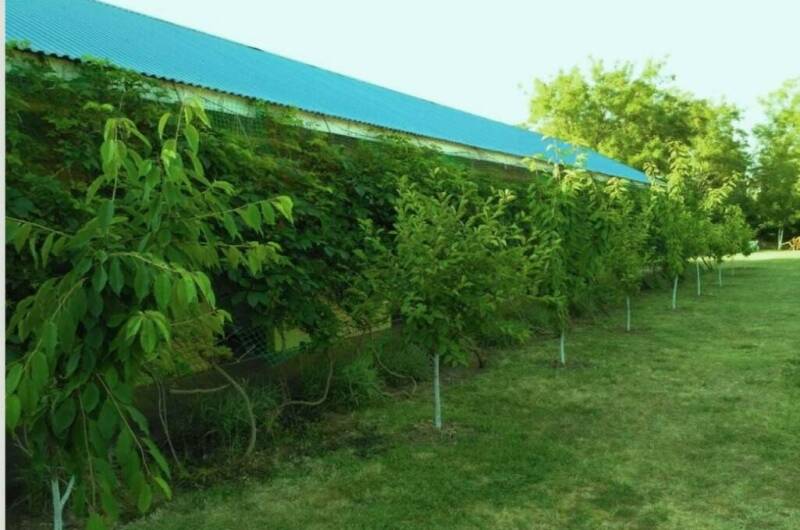 Гостевой дом «Азов Холидей»