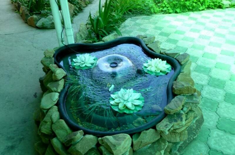 Мини-гостиница «Арго»