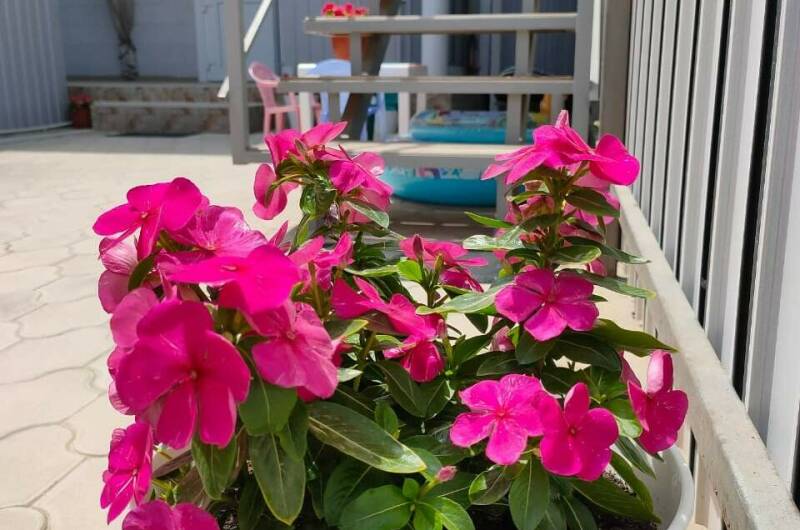 Гостевой дом «ТаняСаша»