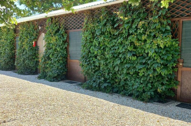 Частный сектор «Комфортный отдых»