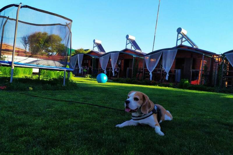 Деревянные домики