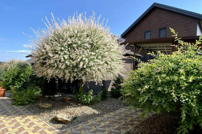 Дом под ключ «Терраса»