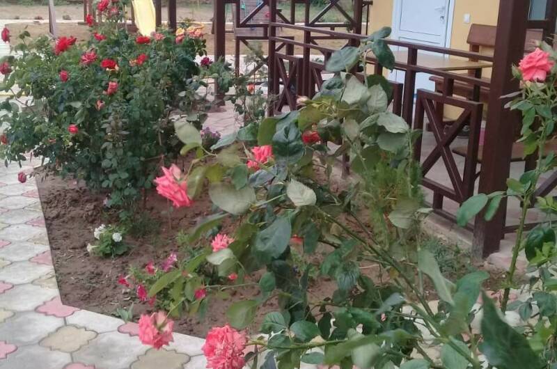 Гостиница «Добрый Бобр»