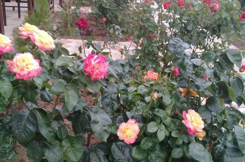 Гостиница «Добрый Бобр»