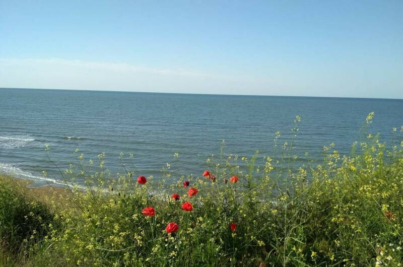 Гостевой дом «Ореховый рай»