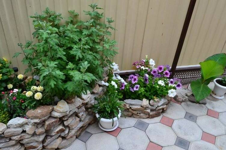 Гостевой дом «Вера»