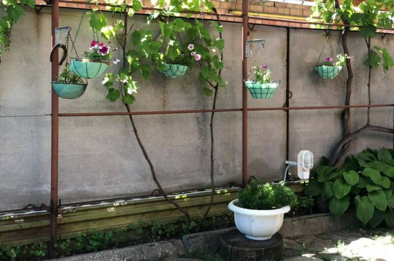 Гостевой дом «Отдых у Ильича»