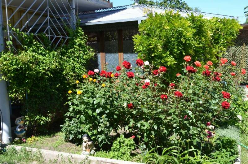 Гостевой дом «Отдых у Ильича»