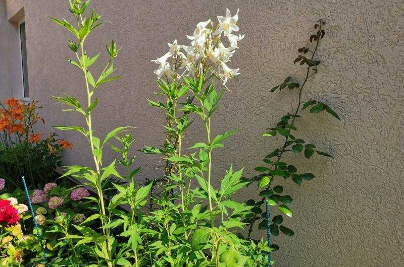 Частное домовладение на Высотной