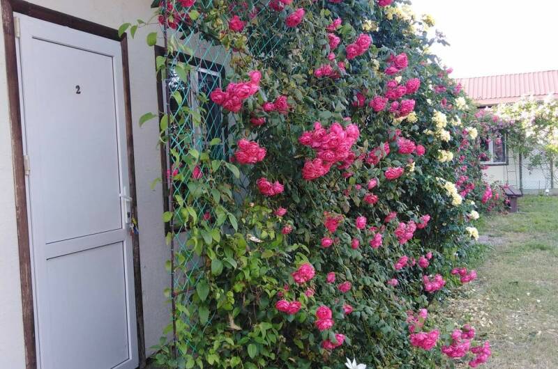 Гостевой дом «Кучугуры»