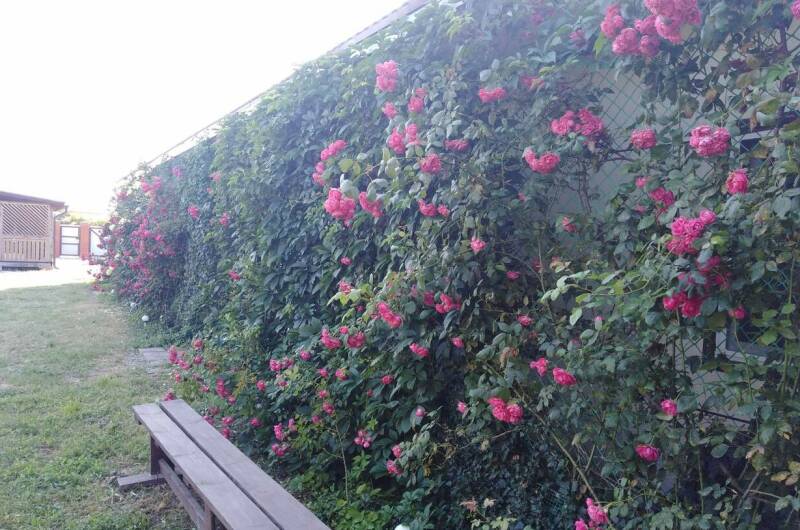 Гостевой дом «Кучугуры»