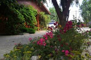 Изображение Дом под ключ «Лазурный берег» #1