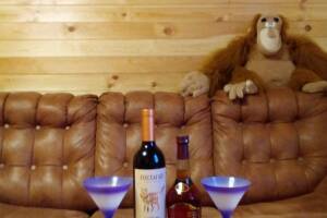 Изображение Коттедж «Морской Бриз» #2