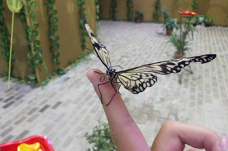 Гостевой дом «На двоих»