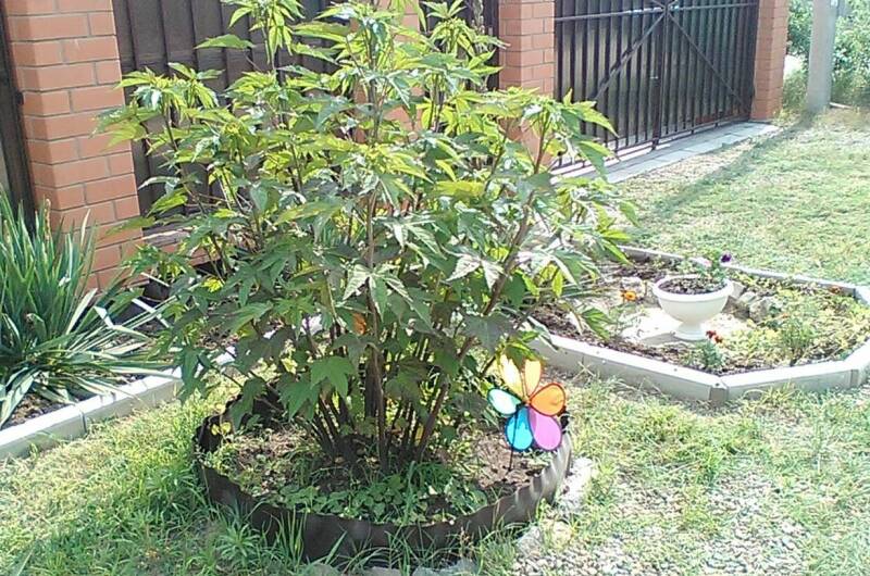 Дом под ключ со всеми удобствами