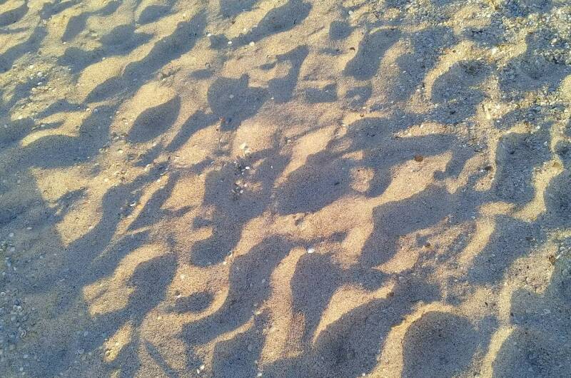 Дом «Персона» с кухней в номерах