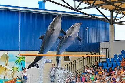 Гостевой дом «Солнечный»