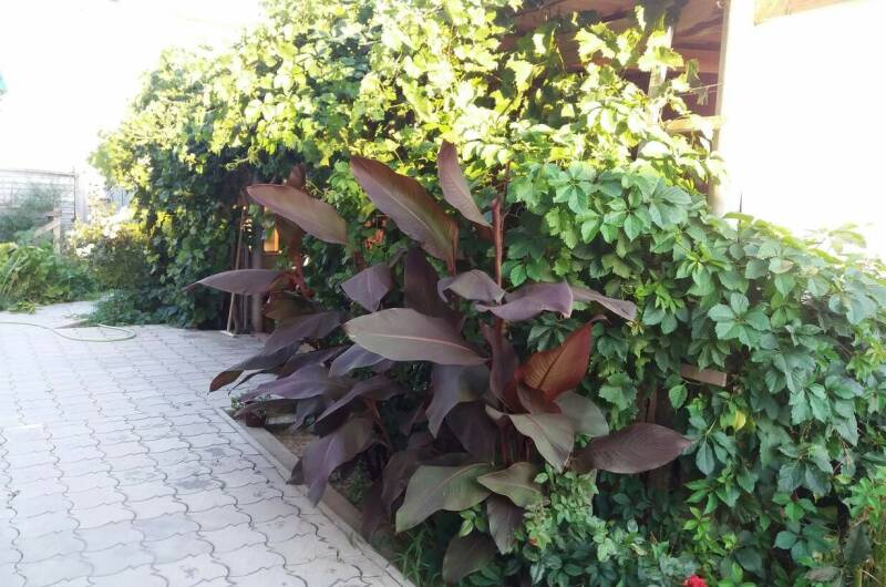 Частный сектор на «Высотной 13»