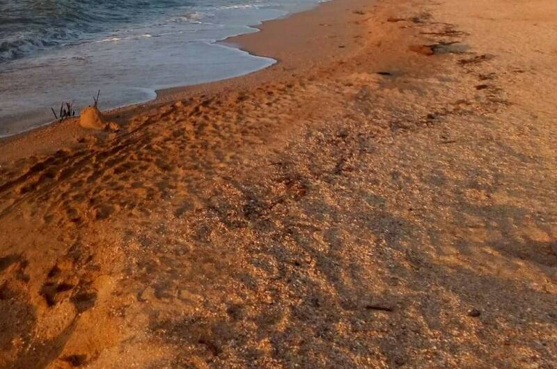 Еврокемпинг «Морской Конёк»