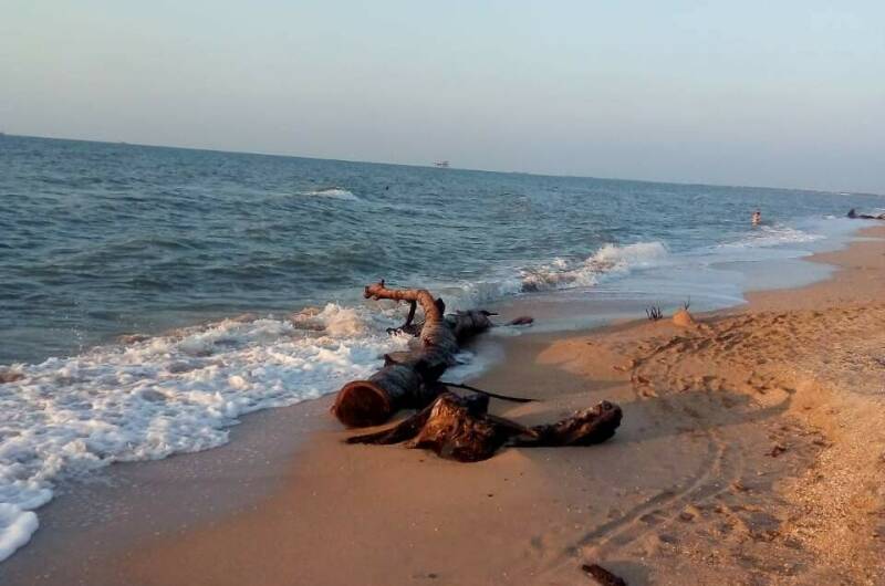 Еврокемпинг «Морской Конёк»