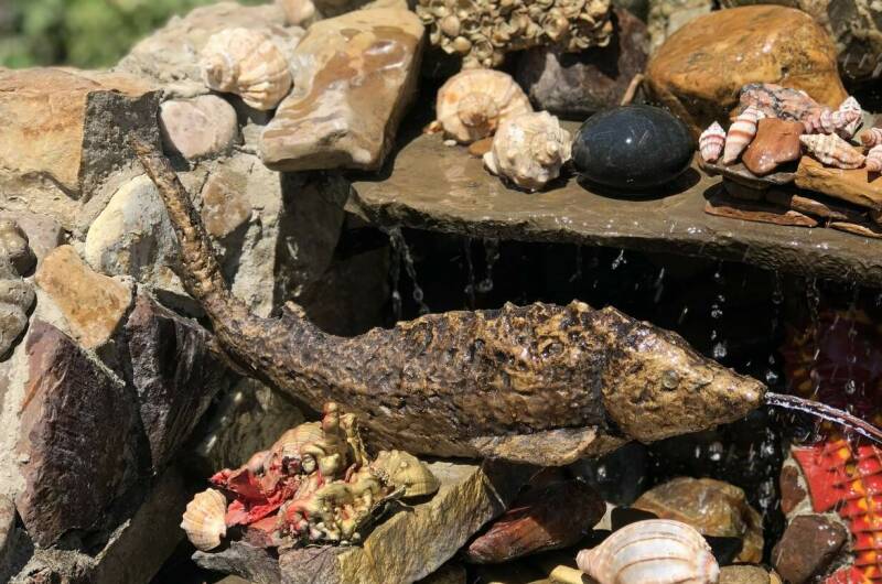 Частное домовладение «Русалочка»