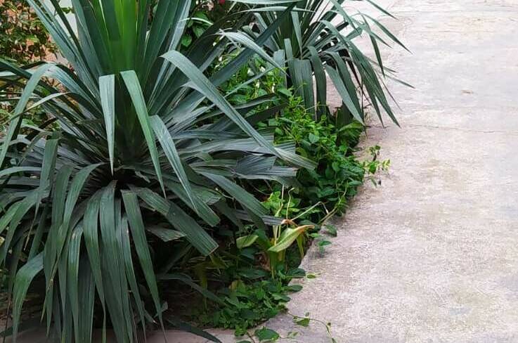 Частный сектор «Сирень»