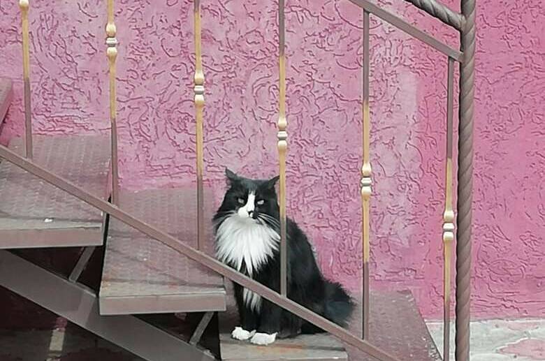 Гостевой дом «Югра»