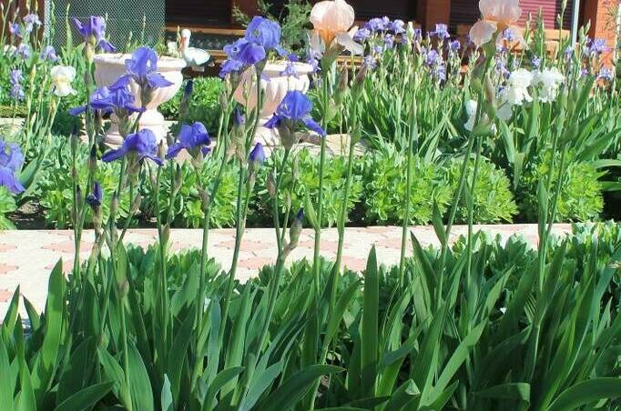 Гостевой дом «Югра»