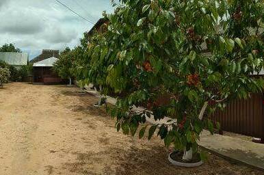 Частный дом «Инесса»