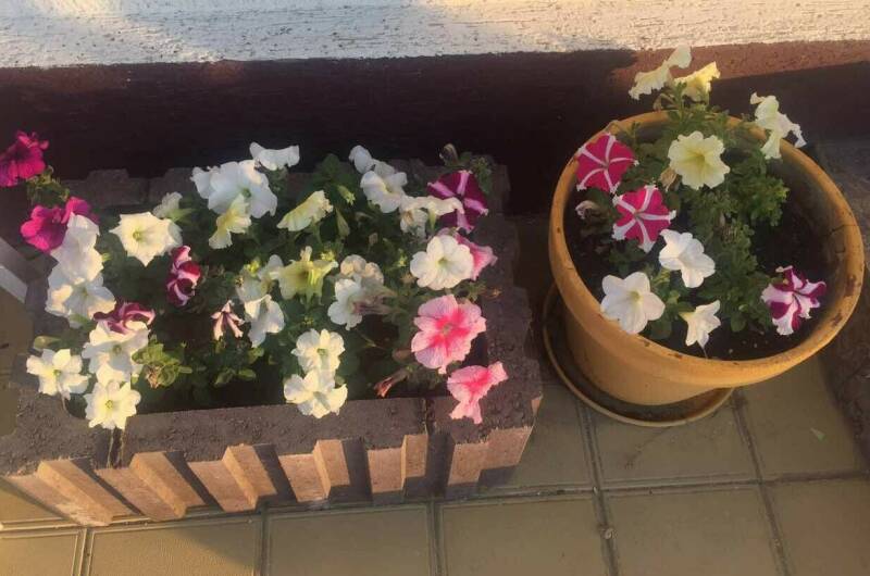 Гостевой дом на Приазовской