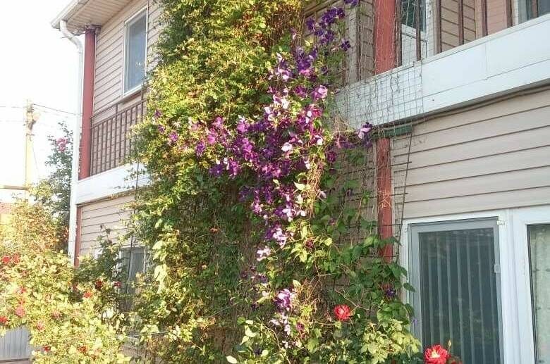 Гостевой дом «Любовь»