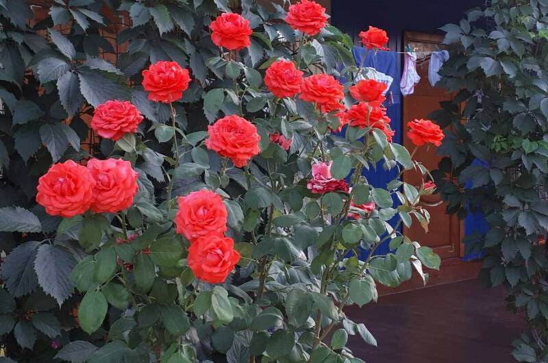 Гостевой дом «Киевская 14»