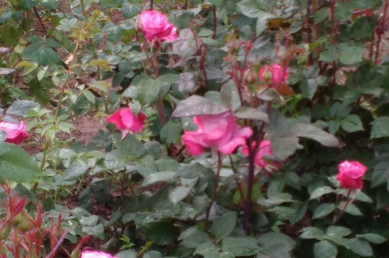 Гостевой дом «Киевская 14»