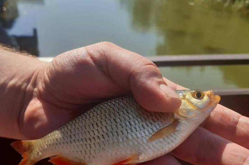 Гостевой дом «Венеция»