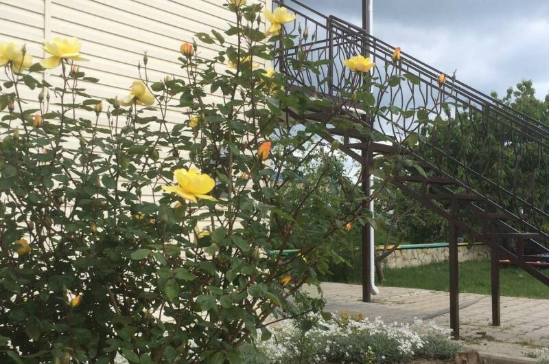 Гостевой дом «Афая»