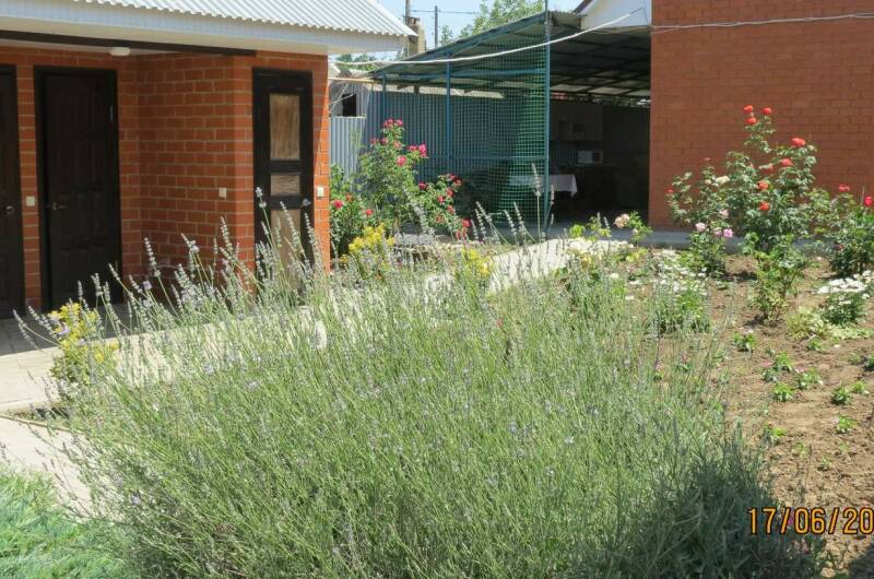 Гостевой дом «Афая»