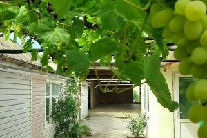 Изображение Гостевой дом «Азовские вечера» #5