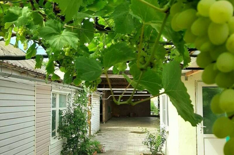 Гостевой дом «Азовские вечера»