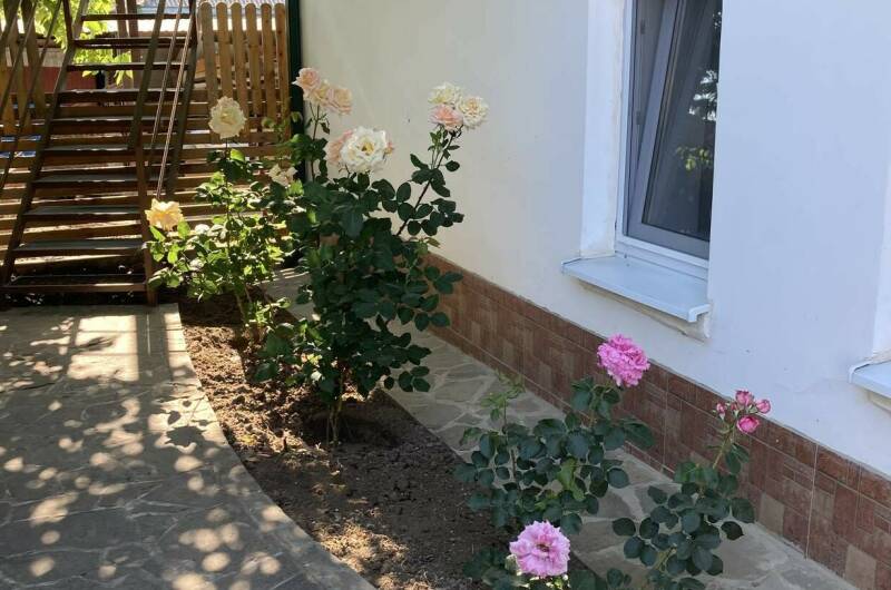 Гостевой дом «Кот и овсянка»