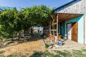 Изображение Гостевой дом «Домик на Виноградной» #5