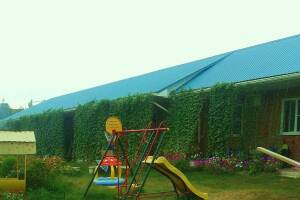 Изображение Гостевой дом «Ирена» #5