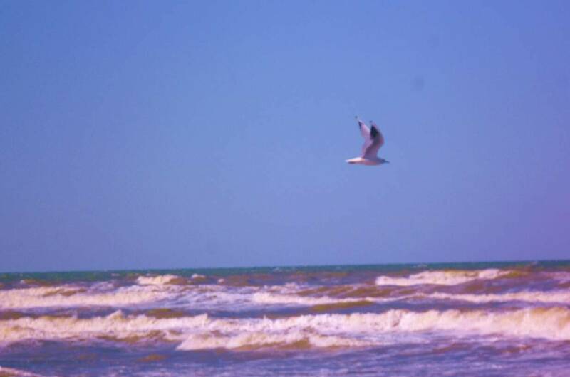 Гостевой дом «Ирена»