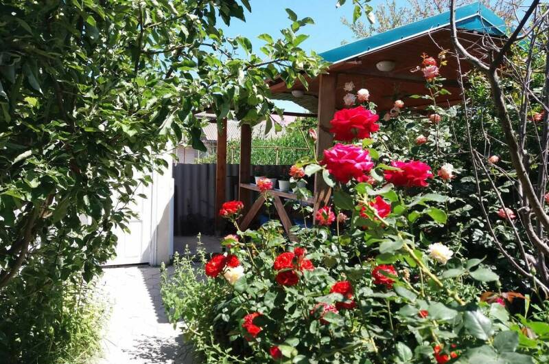 Гостевой дом «Цоев Ковчег»