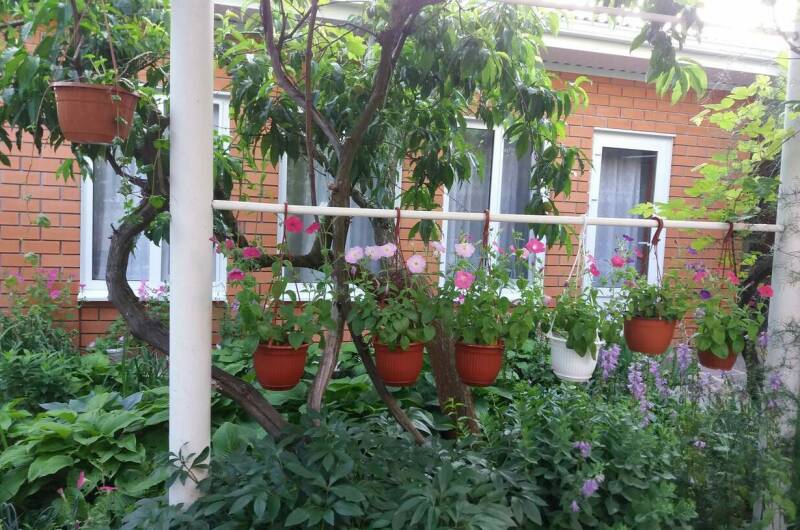 Гостевой дом «Цоев Ковчег»