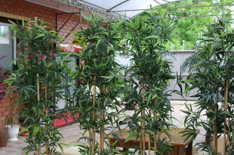 Гостевой дом «У Яны»